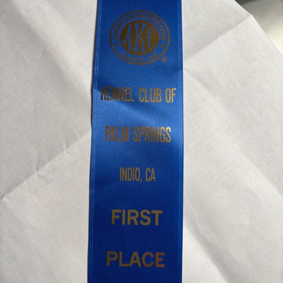 MICHAEL KORS-NWT$328.00                         BARGAIN $277.00 - Picture 13 of 16